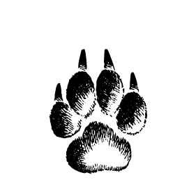 Собача лапа 4